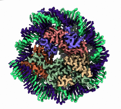 nucleosome_2.4-1-1-1.gif